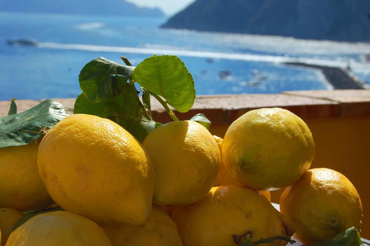 La Terrazza Sul Mare Bed & Breakfast Capri Bagian luar foto