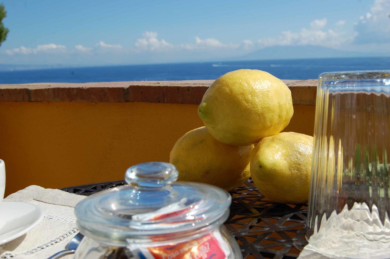 La Terrazza Sul Mare Bed & Breakfast Capri Bagian luar foto