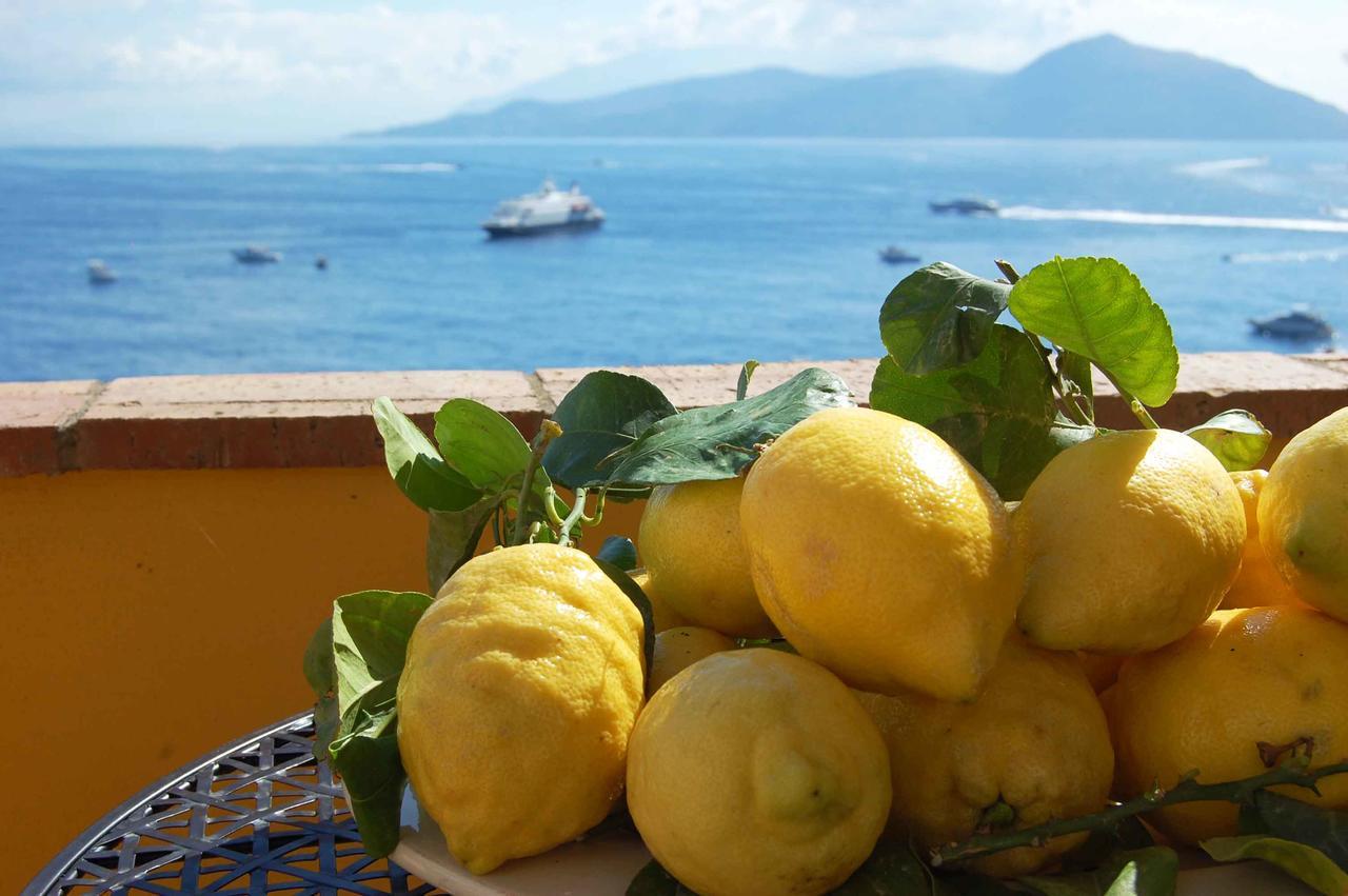La Terrazza Sul Mare Bed & Breakfast Capri Bagian luar foto