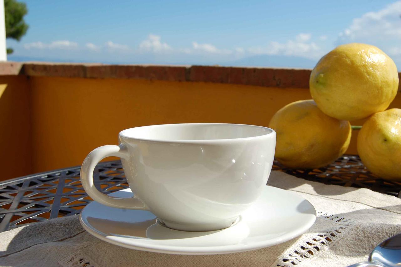 La Terrazza Sul Mare Bed & Breakfast Capri Bagian luar foto