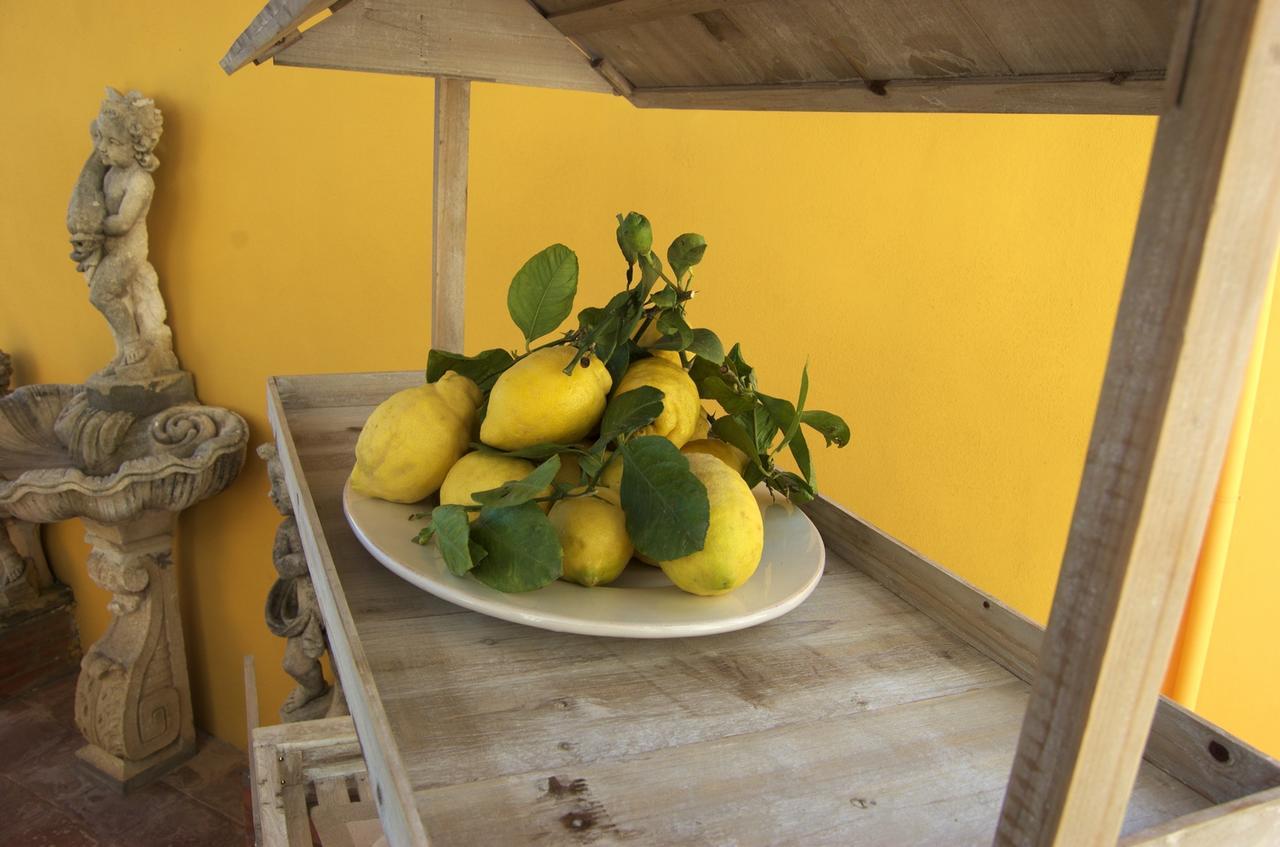 La Terrazza Sul Mare Bed & Breakfast Capri Bagian luar foto